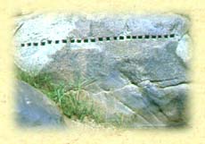 7a