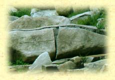 7b