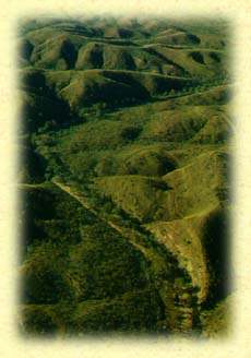 9a